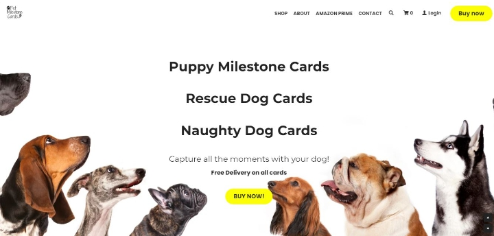 寵物網站 寵物網站